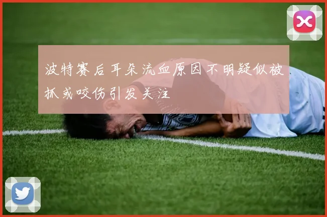 波特赛后耳朵流血原因不明疑似被抓或咬伤引发关注