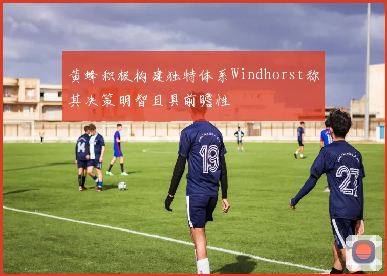 黄蜂积极构建独特体系Windhorst称其决策明智且具前瞻性